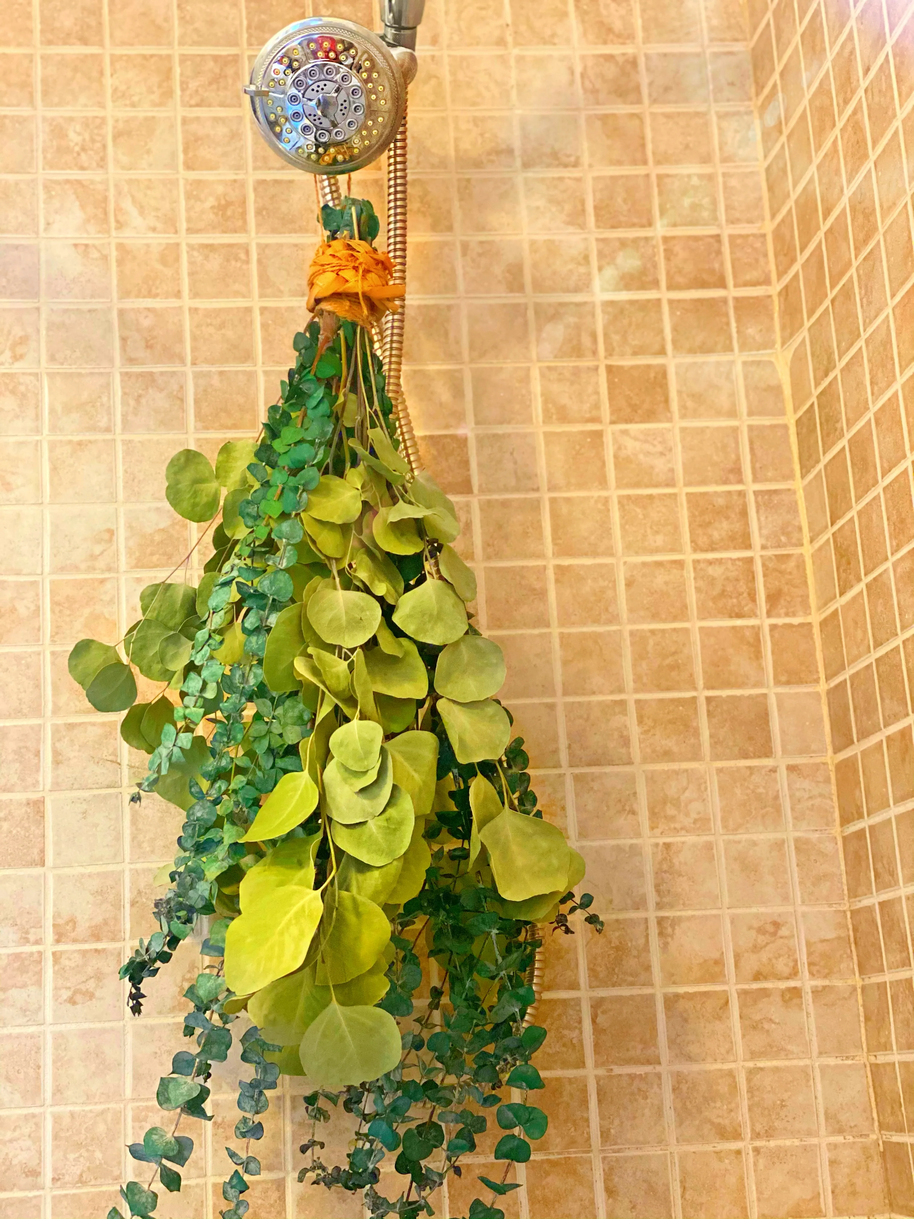 Waterfall Eucalyptus Shower Bundle (Large) - Image 3