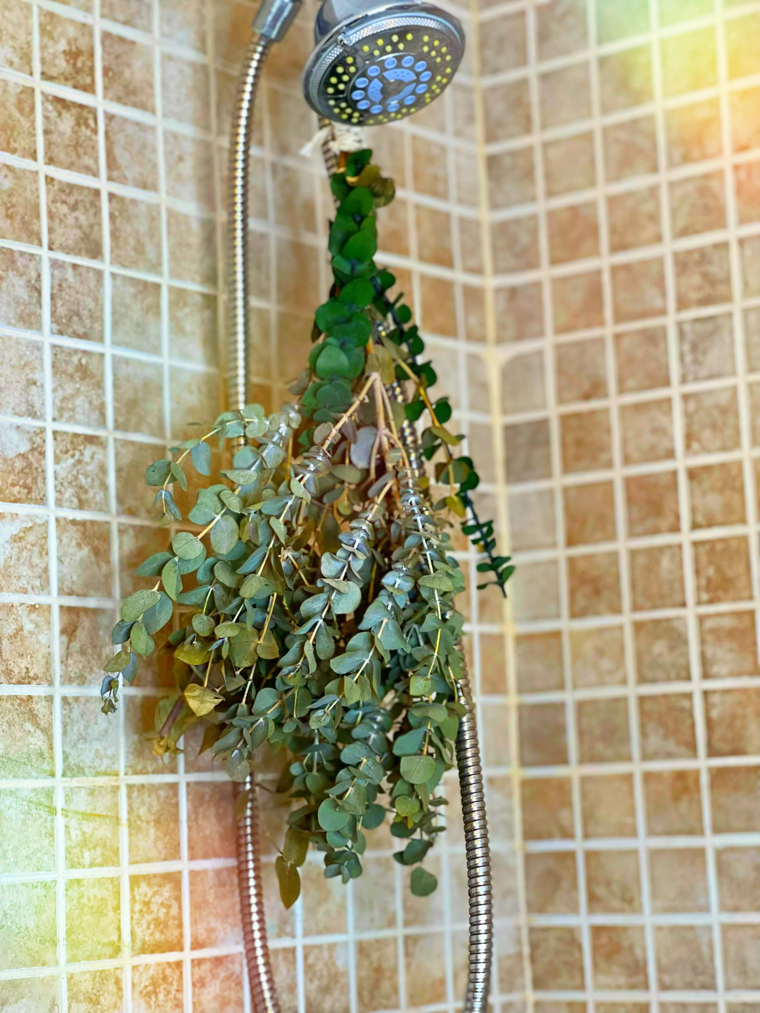 (High Maintenance) Eucalyptus Shower Bundle - Image 3