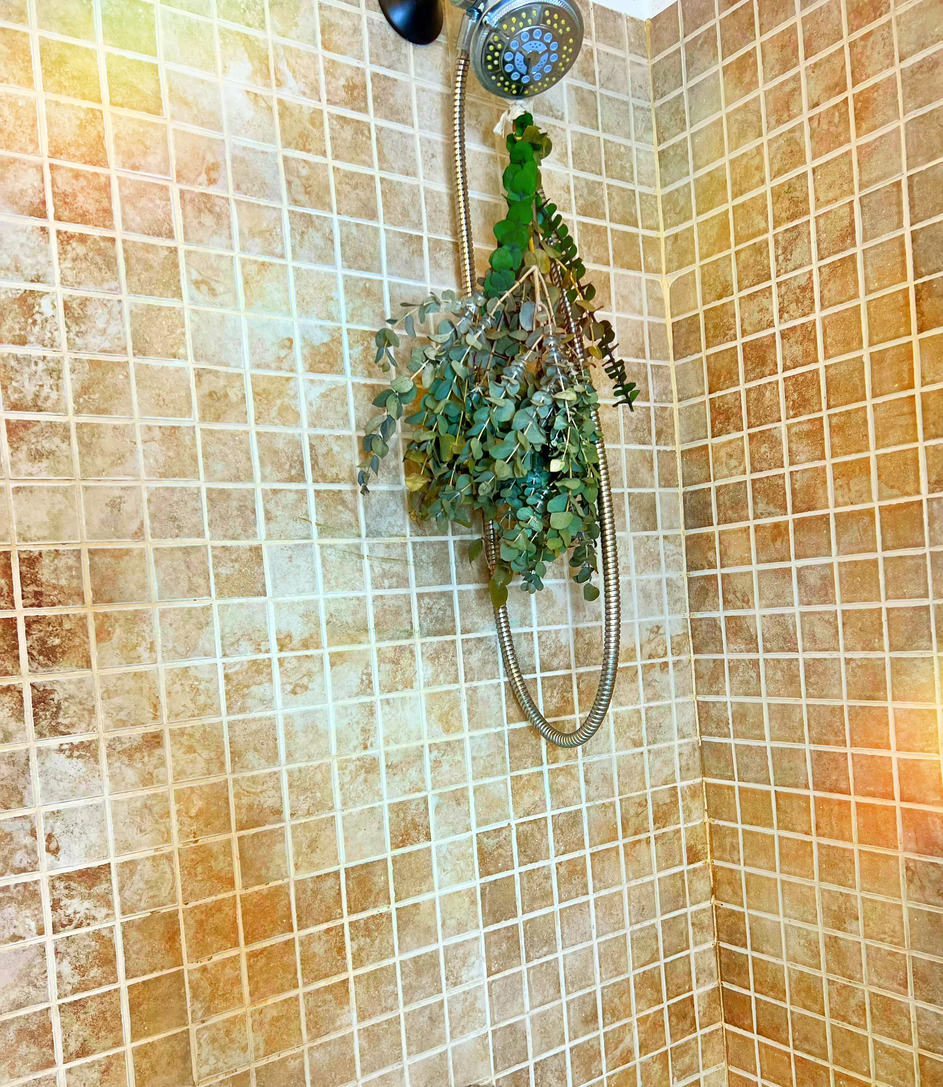 (High Maintenance) Eucalyptus Shower Bundle - Image 4