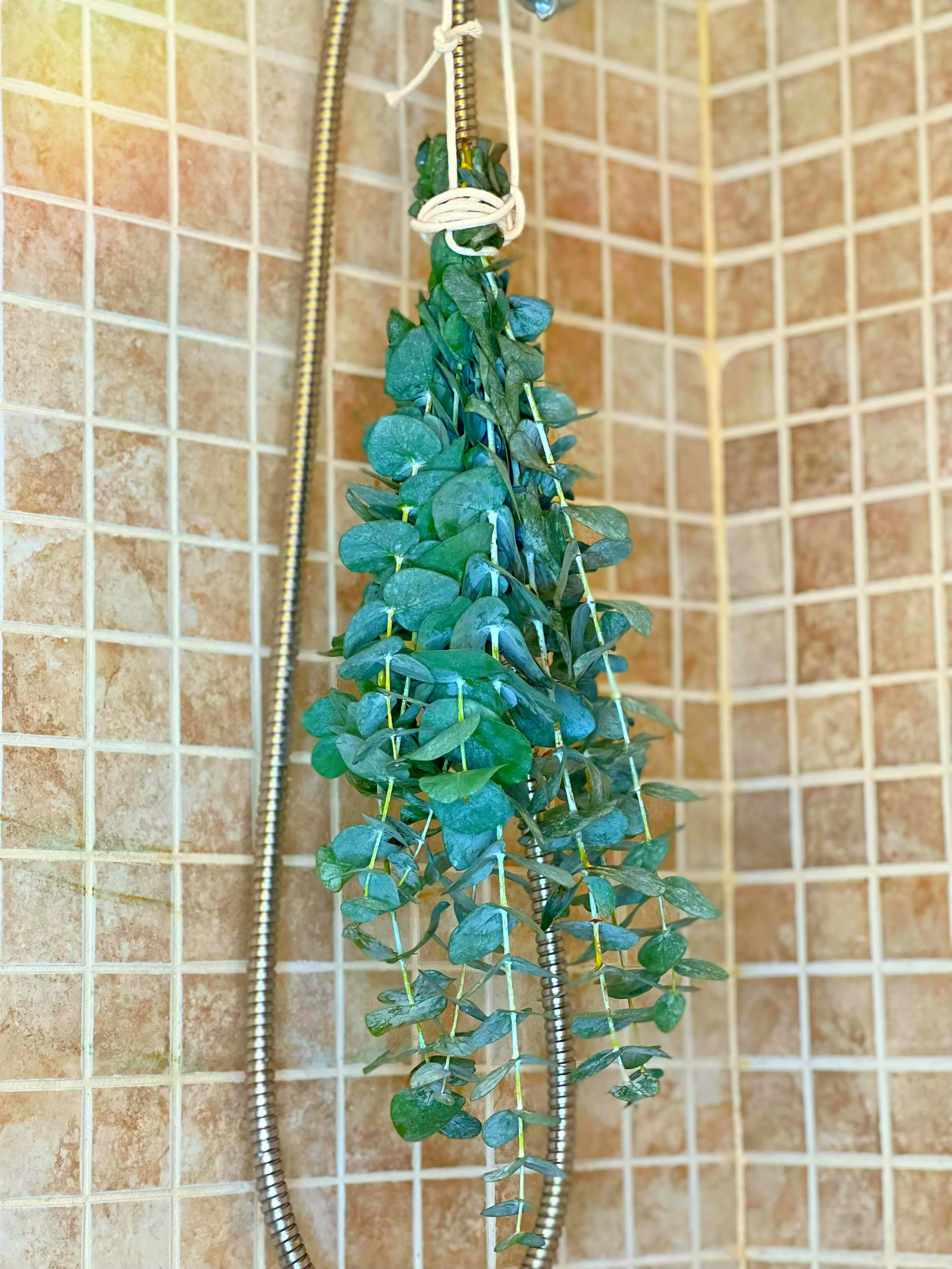 (High Maintenance) Eucalyptus Shower Bundle - Image 8