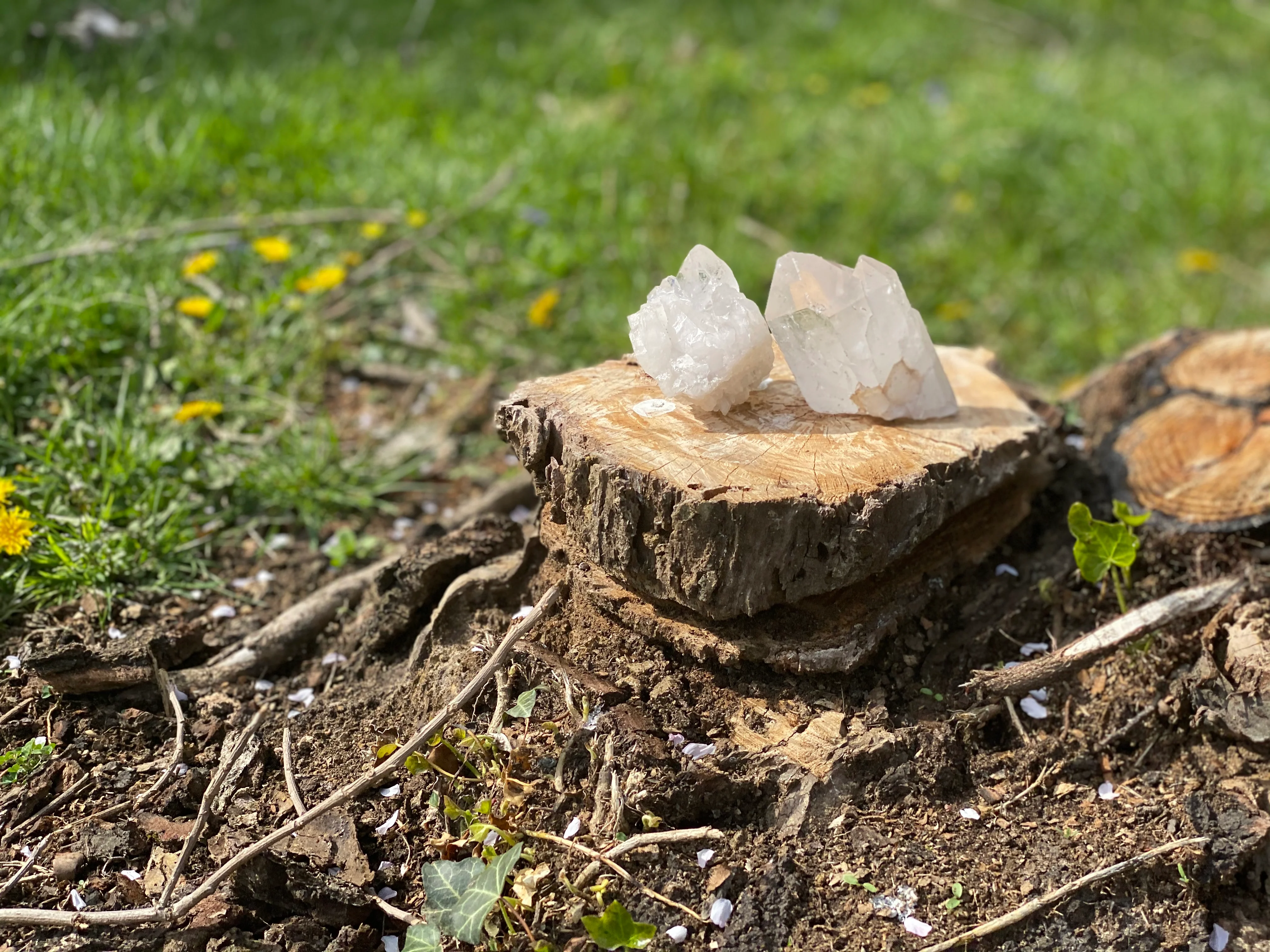 King Quartz Cluster - Image 3
