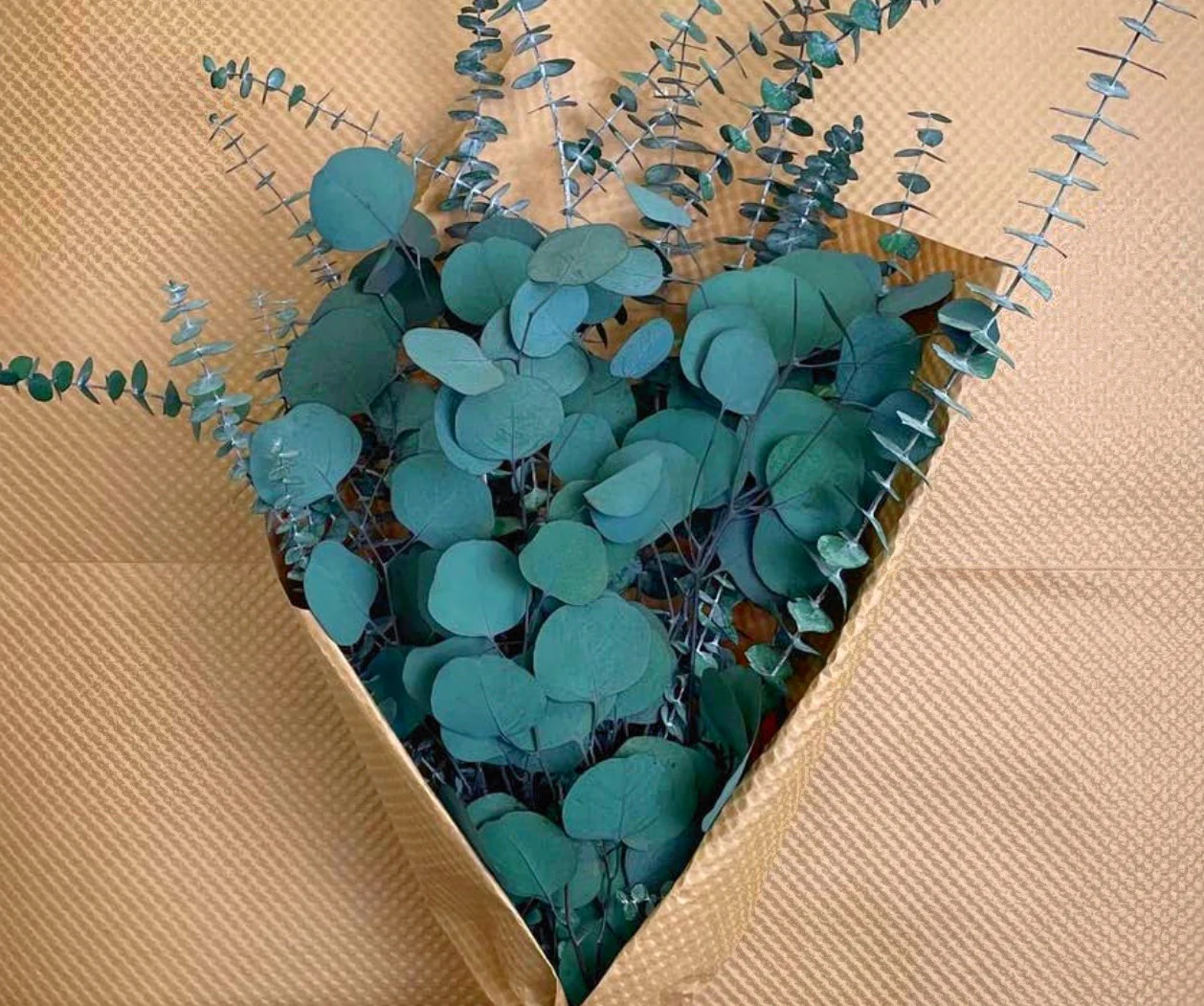 (Low Maintenance) Silver Dollar & Baby Eucalyptus Bundle