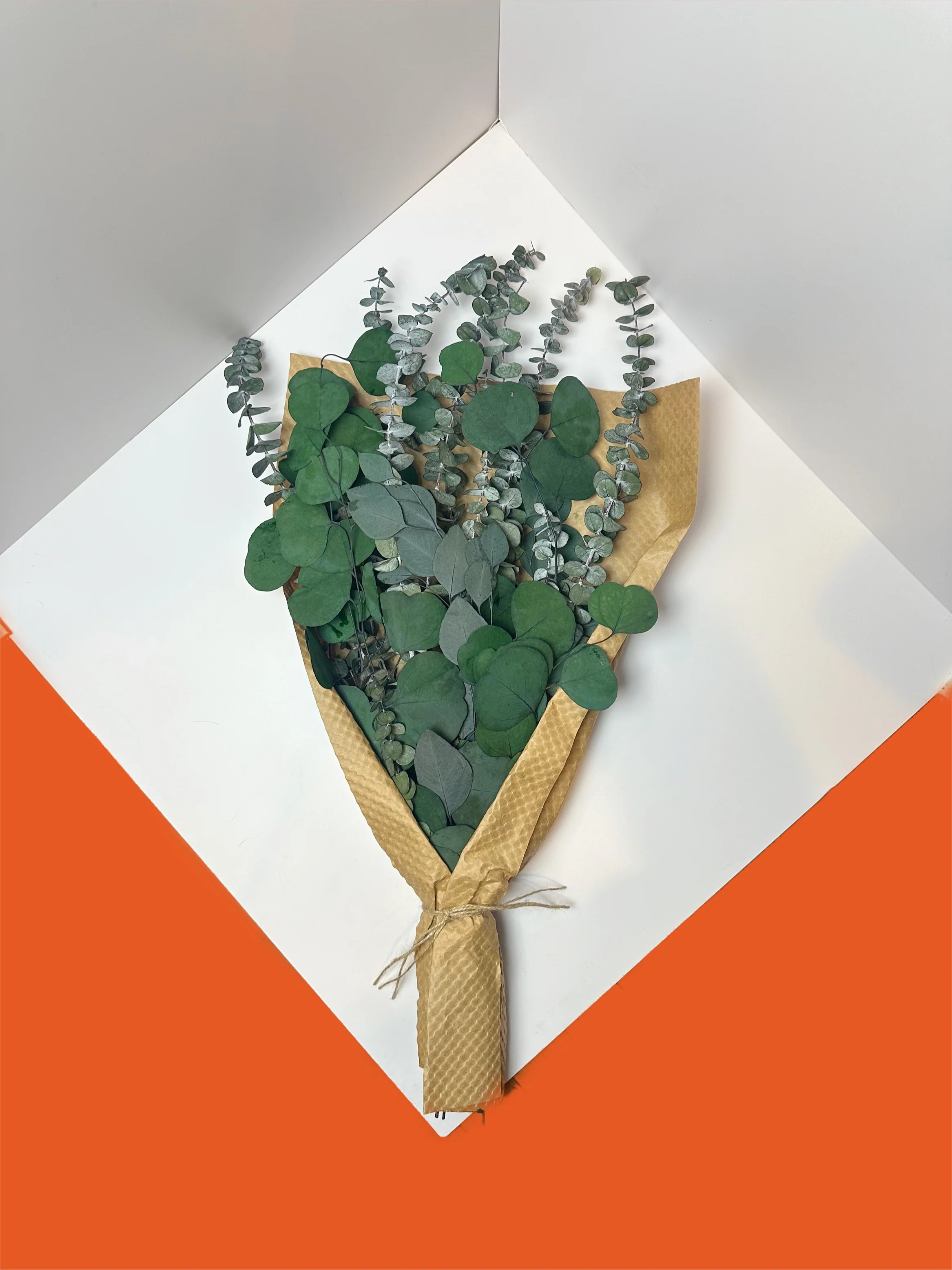 (Low Maintenance) Silver Dollar & Baby Eucalyptus Bundle - Image 2